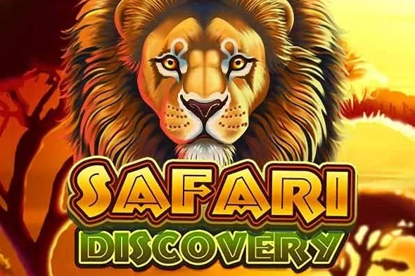 Safari Discovery